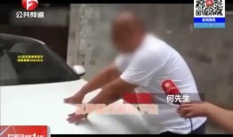 羊村最新爆料新闻视频,最新爆料新闻视频深度解析